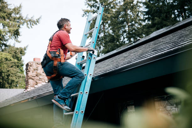 Best Roof Leak Repair  in Plainwell, MI