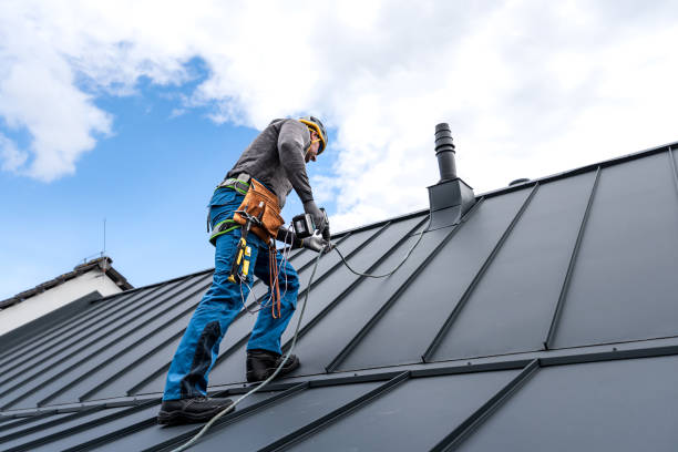Best Asphalt Shingles Roofing  in Plainwell, MI