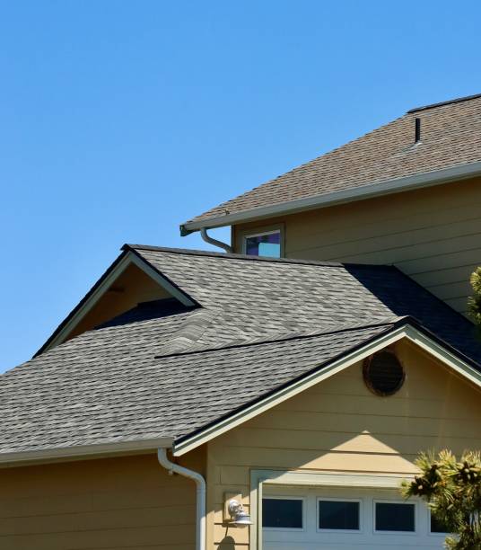 Best Steel Roofing  in Plainwell, MI